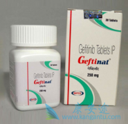 ��������(Gefitinib)����RGFE����Ĺǹؽ�����Ⱥ����