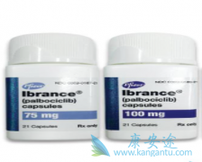 �߰�����(palbociclib)��������Ⱥ�е��޽�չ������