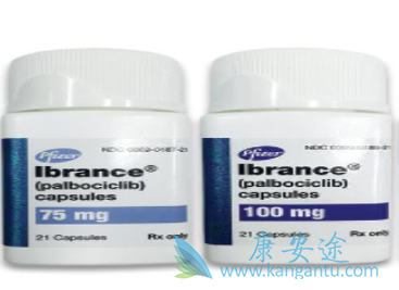 哌柏西利 哌柏西利