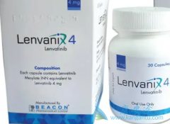 乐伐替尼/仑伐替尼加派姆单抗治疗晚期子宫