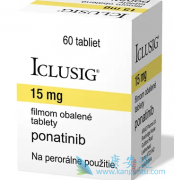 普纳替尼(Ponatinib)在经过大量预处理的GIS
