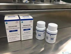 新冠药物莫洛匹韦(Molnupiravir)/莫诺拉