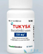 基于图卡替尼(tucatinib)的方案是脑转移患