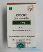 治疗KRAS的除了Sotorasib/AMG510还有哪些