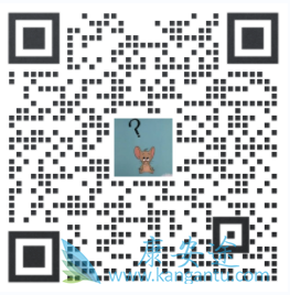 卡博替尼,XL184 卡博替尼,XL184