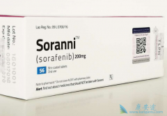 索拉非尼(sorafenib)联合常规疗法治疗AL的