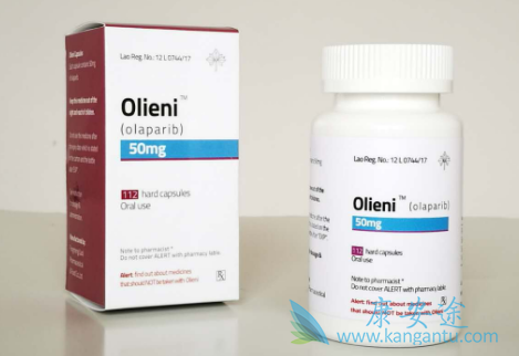 奥拉帕尼,Olaparib 奥拉帕尼,Olaparib