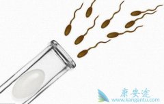 �����Թ�Ӥ�����������ݺ���̥��Ϊʲô��ͬ