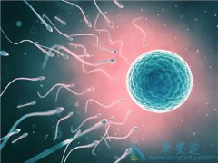 �������Թ�Ӥ��������������Թ�Ӥ���ɹ���