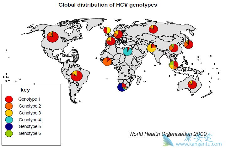 丙型肝炎基因型分布图