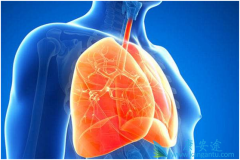 ��׼��������Ŀǰ�ΰ����Ƶ���ѡ����