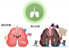 ��֢���߼���Ҫ�˽�ΰ����˳�ʲô��