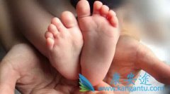 ͨ��������Թ�Ӥ����ֲ�����Ŵ���