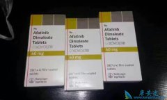 �ΰ���ҩ��������ĸ���������Щ��