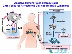 CAR-Tϸ�������Ʒ��Ľ�չ