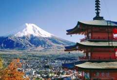 �ձ�ҽ������������������һ���Ľ�����������