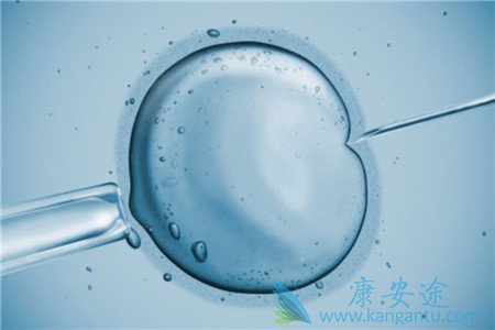 试管婴儿费用 试管婴儿费用